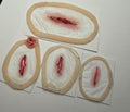 Professional Encapsulated Silicone Prosthetic Set #2(Smooth-On Premium)