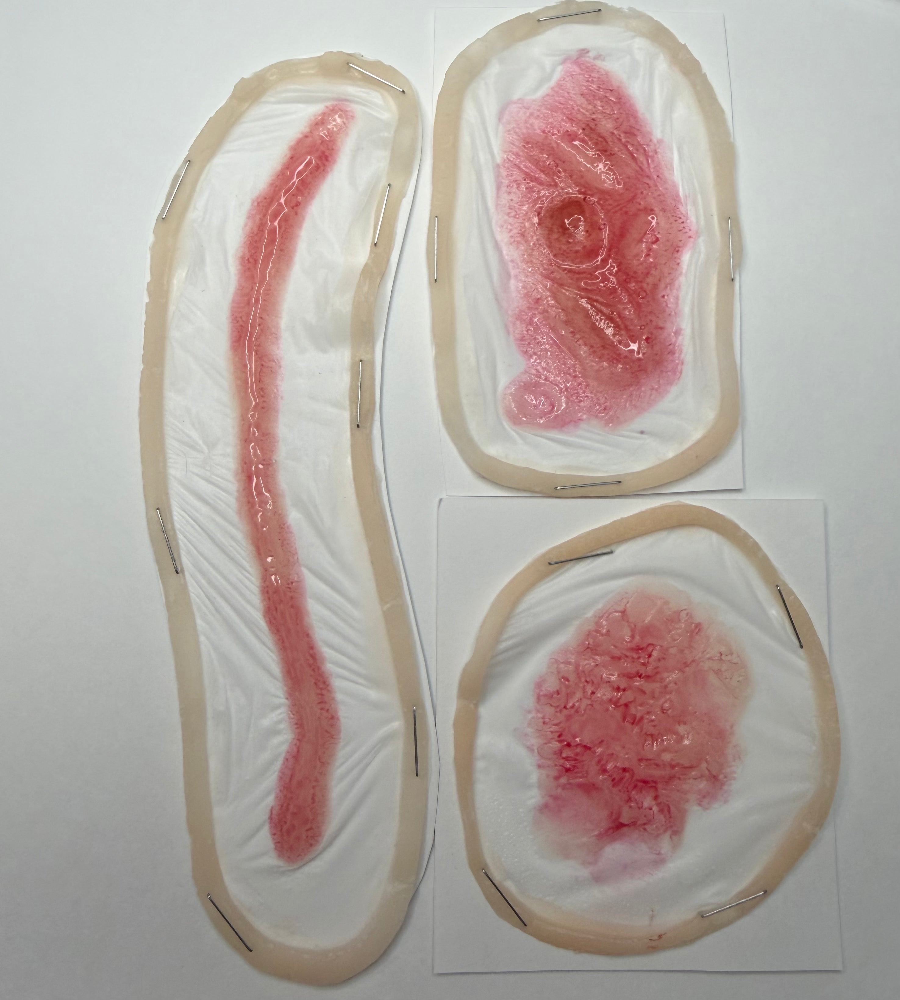 Professional Encapsulated Silicone Prosthetic Set #4 (Smooth-On Premium)