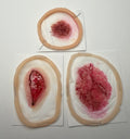Professional Encapsulated Silicone Prosthetic Set #3 (Smooth-On Premium)