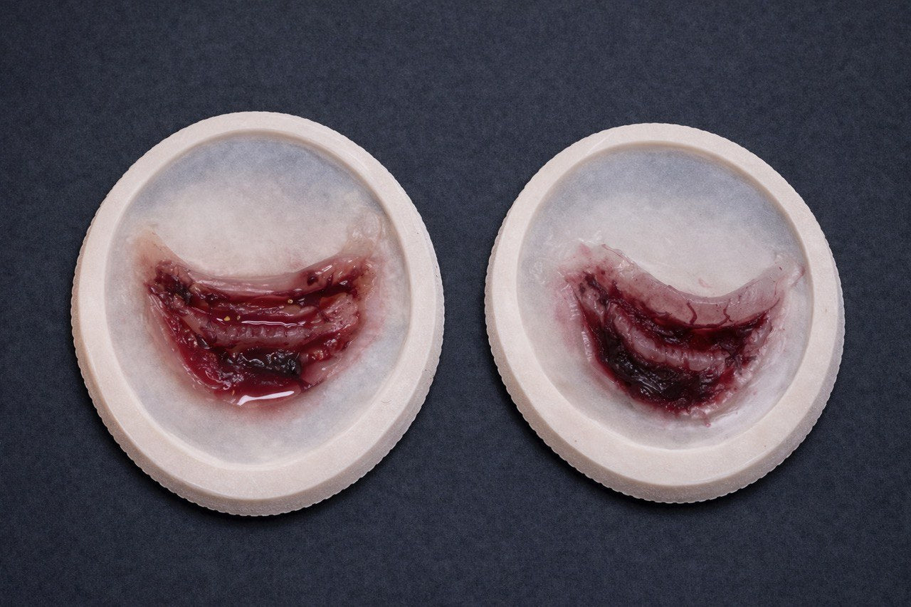 Open Eye Wound FX Prosthetic Hyper-Realistic Facial Injury Appliance