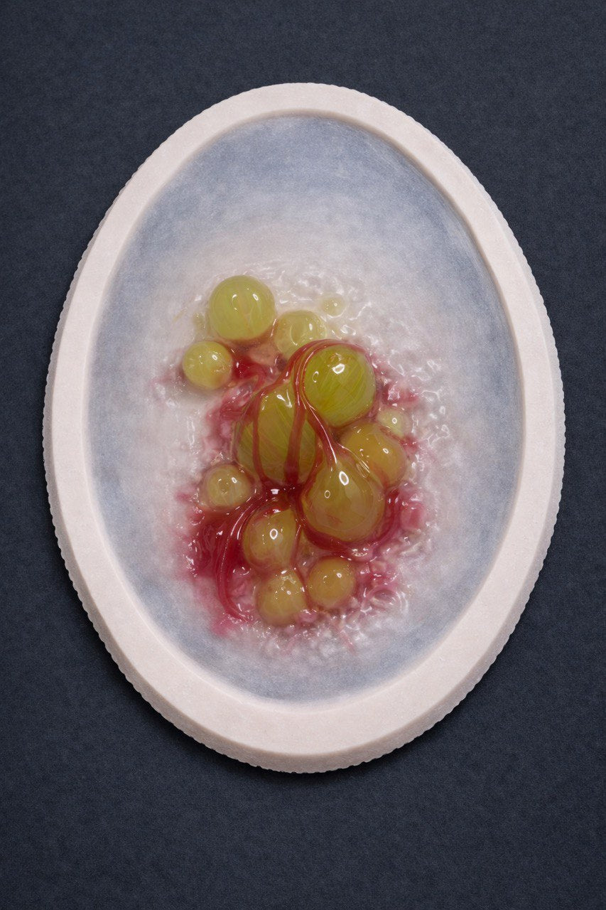 FX Infected Blister Prosthetic